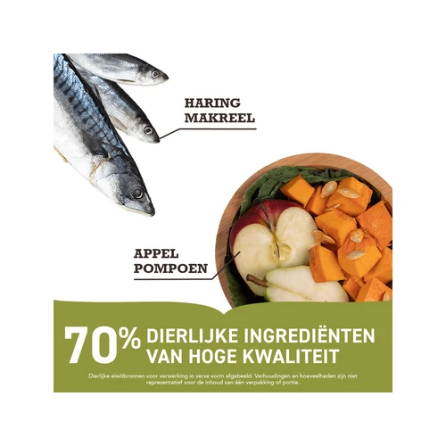 Acana Pacifica Dog Regionals – Bild 3