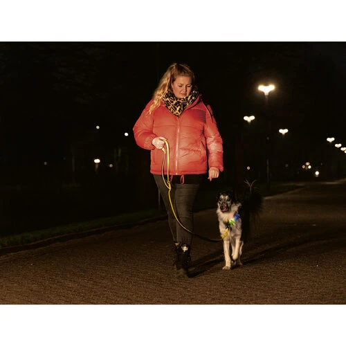 Beeztees Safety Gear Parinca Premium Halsband – Bild 8