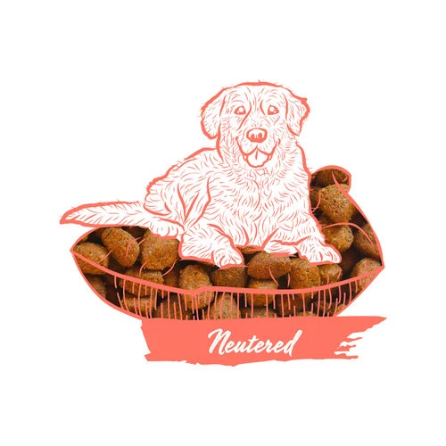 Calibra Dog Expert Nutrition Neutered – Bild 2