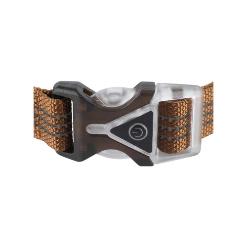 Carhartt Lighted Dog Collar â Bild 3