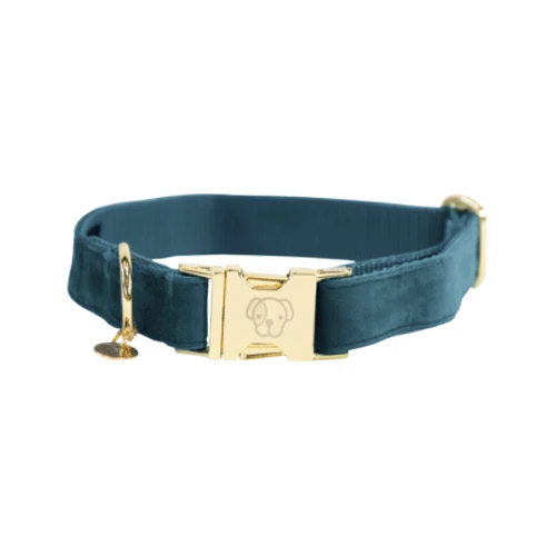 Kentucky Dogwear Velvet Hundehalsband – Bild 10