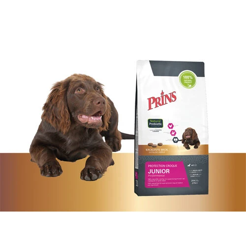 Prins Protection Croque Junior Performance – Bild 3
