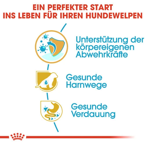 Royal Canin Dalmatian Puppy - Hundefutter – Bild 2