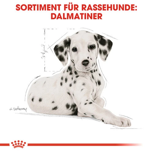 Royal Canin Dalmatian Puppy - Hundefutter – Bild 4