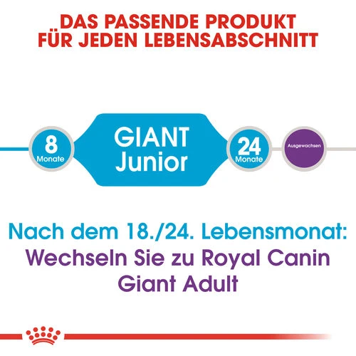 Royal Canin Giant Junior - Hundefutter – Bild 6