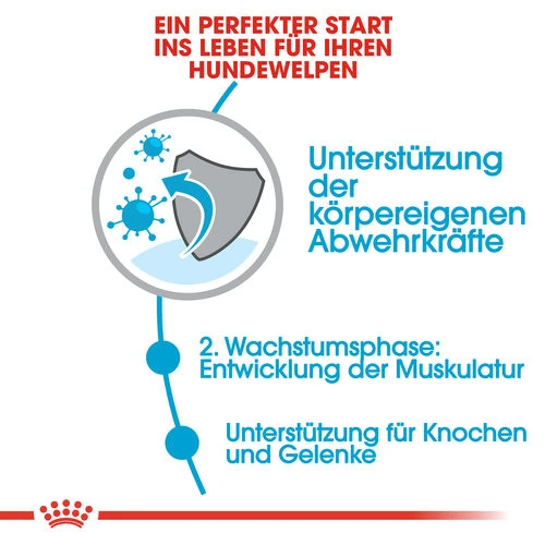 Royal Canin Giant Junior - Hundefutter – Bild 2