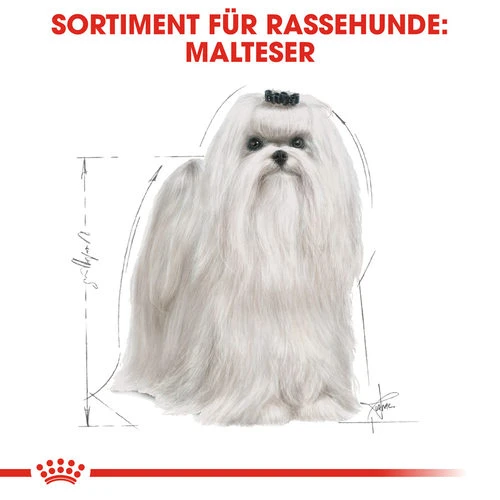 Royal Canin Maltese Adult - Hundefutter – Bild 4