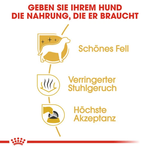 Royal Canin Maltese Adult - Hundefutter – Bild 2