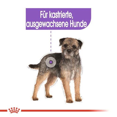 Royal Canin Mini Sterilised - Hundefutter – Bild 3