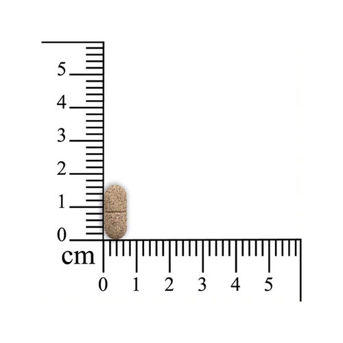 Smooth Locomotion Hund – Bild 3