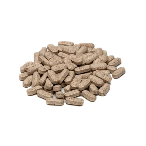 Smooth Locomotion Hund – Bild 2