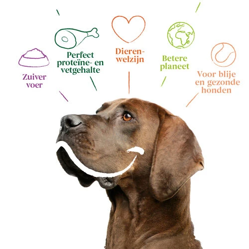 Yarrah - Trockenfutter Sensitiv Mit Huhn Und Reis Bio – Bild 3